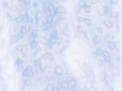 RING MOTTLE: BLÅGRÅ/HVIT