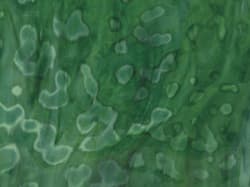 RING MOTTLE: LØVGRØNN/SMARAGDGRØNN