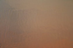 DIKROISK COE104 PÅ KLAR MORETTI 760 CYAN MØRK RØD