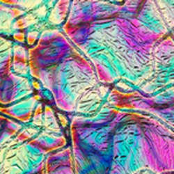 COE90 DIKROISK PÅ SORT B0100-50F REPTIL