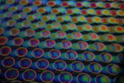 COE90 DIKROISK PÅ SORT B0100-50F BALL 1