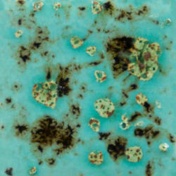 BLUE GUPPY 473ML PE.GL. MAYCO 1020-1060C