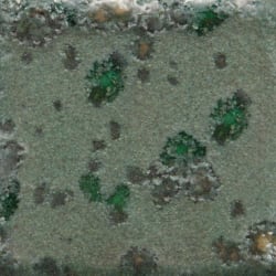 ALLIGATOR 473ML PE.GL.     1000-1060 MAYCO