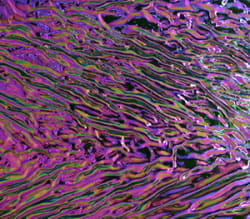 COE90 DIKROISK PÅ KLAR U51-00 MR