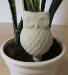 BLOMSTERPINNE UGLE H=13CM