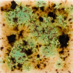 CAPPUCCINO MINT 473ML P.G 995-1060 MAYCO