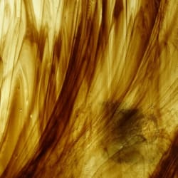 LYS RAV/MØRK BRUN STREAK