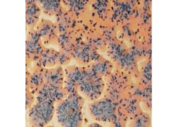SPECKLED FLUX CRAWL P.GL.    473ML  1180-1240C