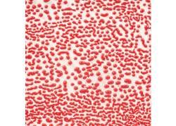 RED CRAWLS P.GL.    473ML  1180-1240C