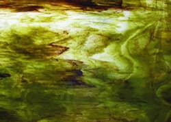 YOUGHIOGHENY SP AVOCADO GRØNN IS HVIT 62X90CM