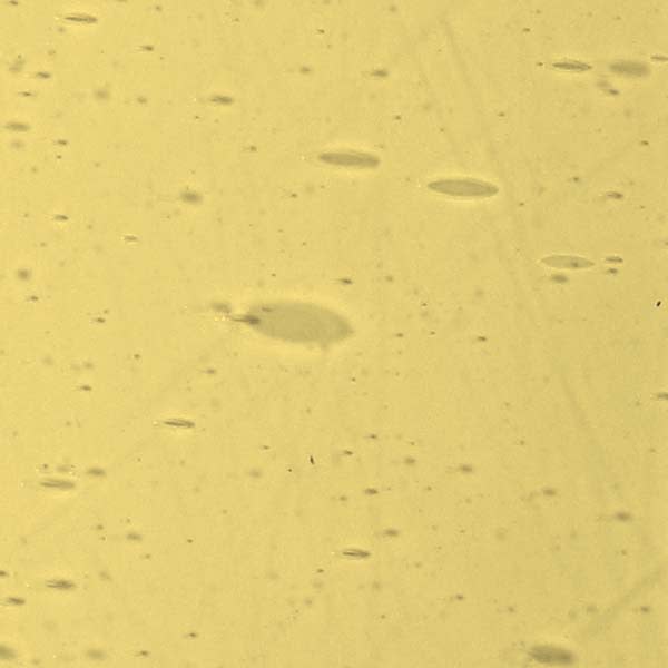 LAMBERTS 2662XX GUL TRANSP 60X90CM 2,5-3,5MM