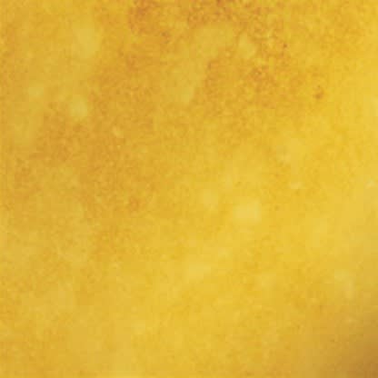 ANTIKKSPEIL GOLDEN ANTIQU