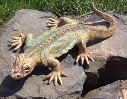 ØGLE L=56CM