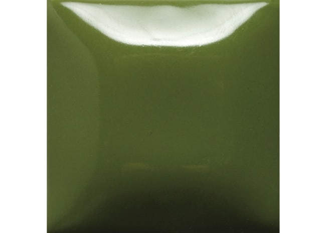 ARMY SURPLUS STROKE & COAT 473ML