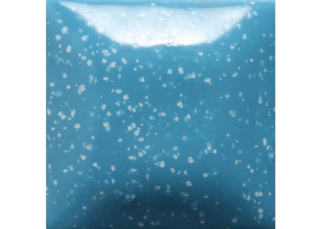 BLUE YONDER SPECK S&C 473ML