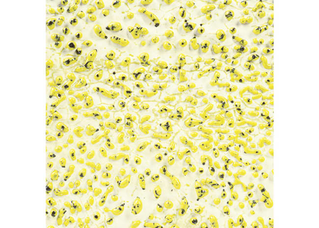 YELLOW CRAWLS P.GL.    473ML  1180-1240C
