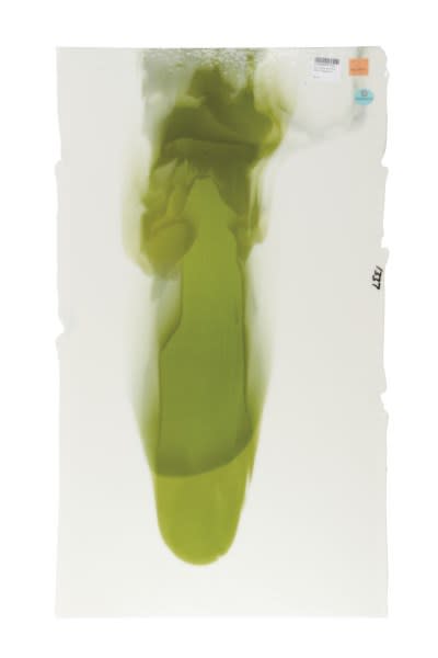 CASCADE VARM HVIT, FURU GRØNN DBLR. F 89X51CM