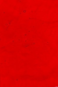 KOKOMO LL COLORESCENT RØD 81X81CM