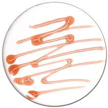 INTENS ORANSJE OVERGLASUR PENN