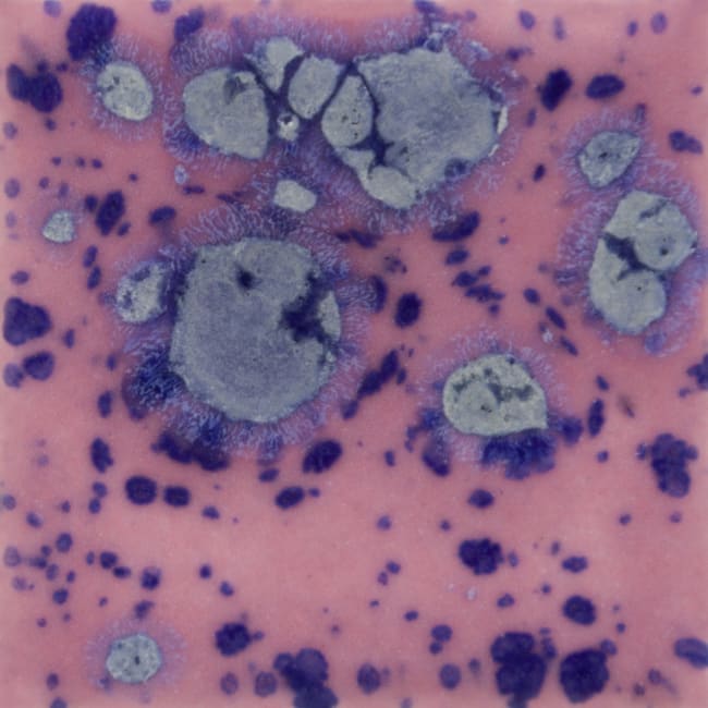 BERRYBERRY PIE 473ML P.G. 995-1060 MAYCO