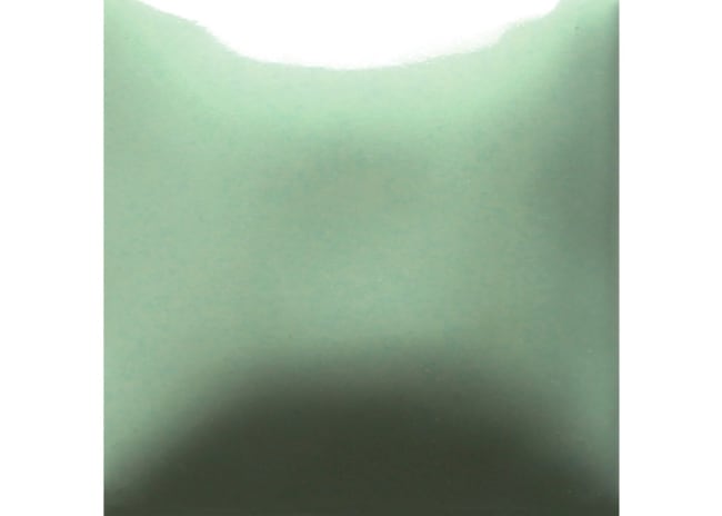 AQUA-WARD S&C 473ML