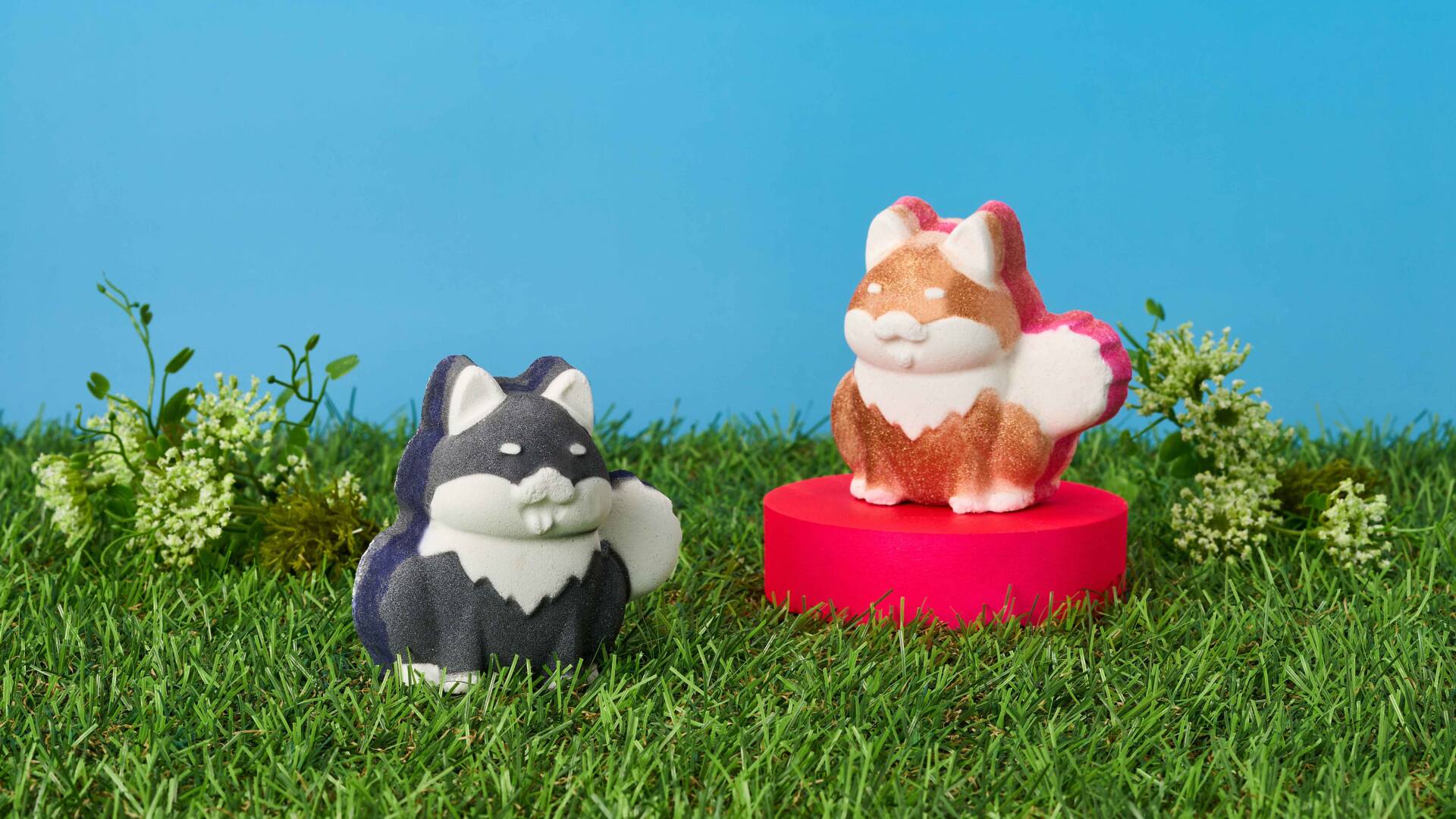 柴犬の可愛さが炸裂！はちみつのように甘く、陽だまりのように温かい