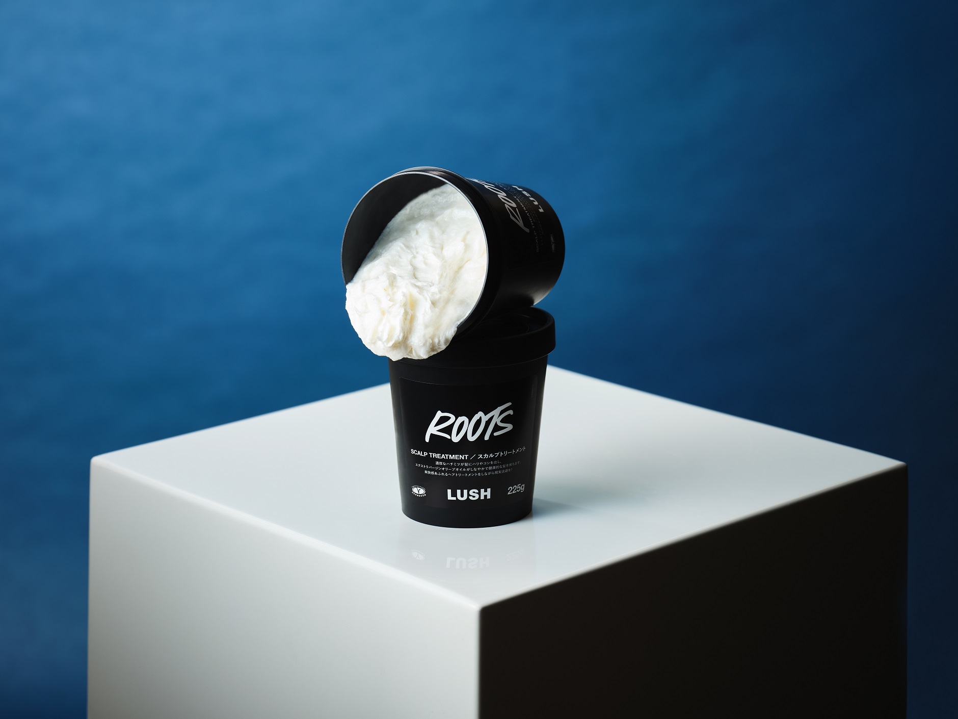 LUSH 公式｜ラッシュ フレッシュハンドメイドコスメ | LUSH