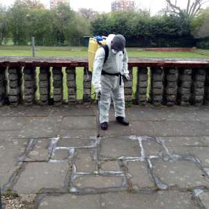 Pesticide sprayer in Lewisham. Credit Iris Borgers