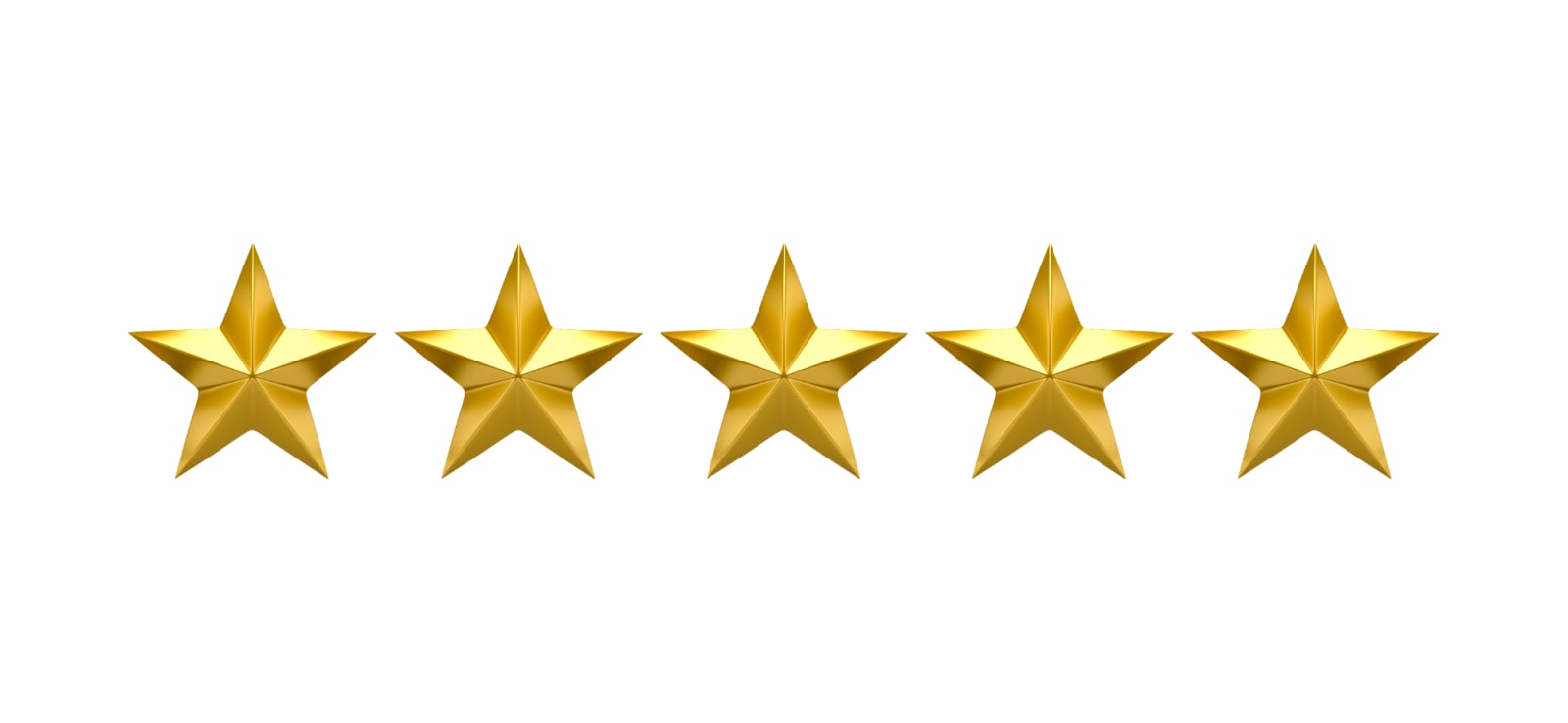 4.9 Stars from 480+ Google Reviews in January 2024