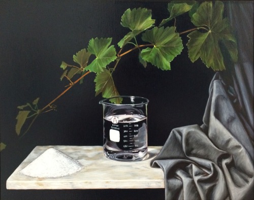 Photo of Still Life with Beaker Solvent and Solute
