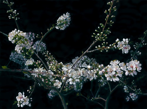 Photo of Still Life with Blossom