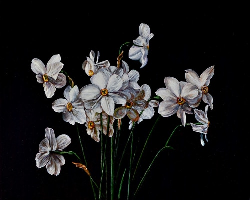 Photo of Still Life with Narcissus I