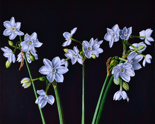 Photo of Still Life with Narcissus II