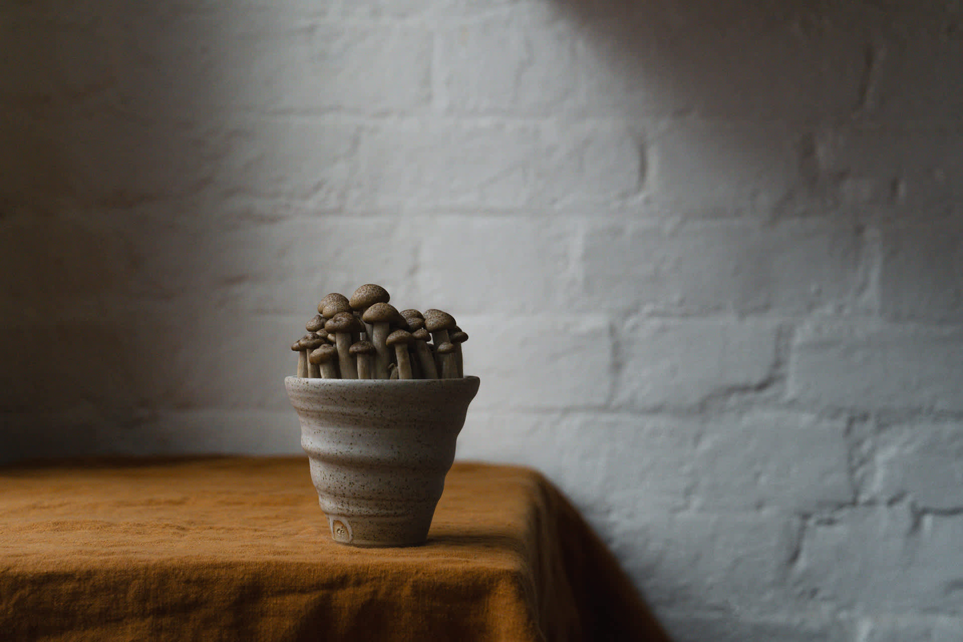 Mushrooms in a beige ceramic coffee cup