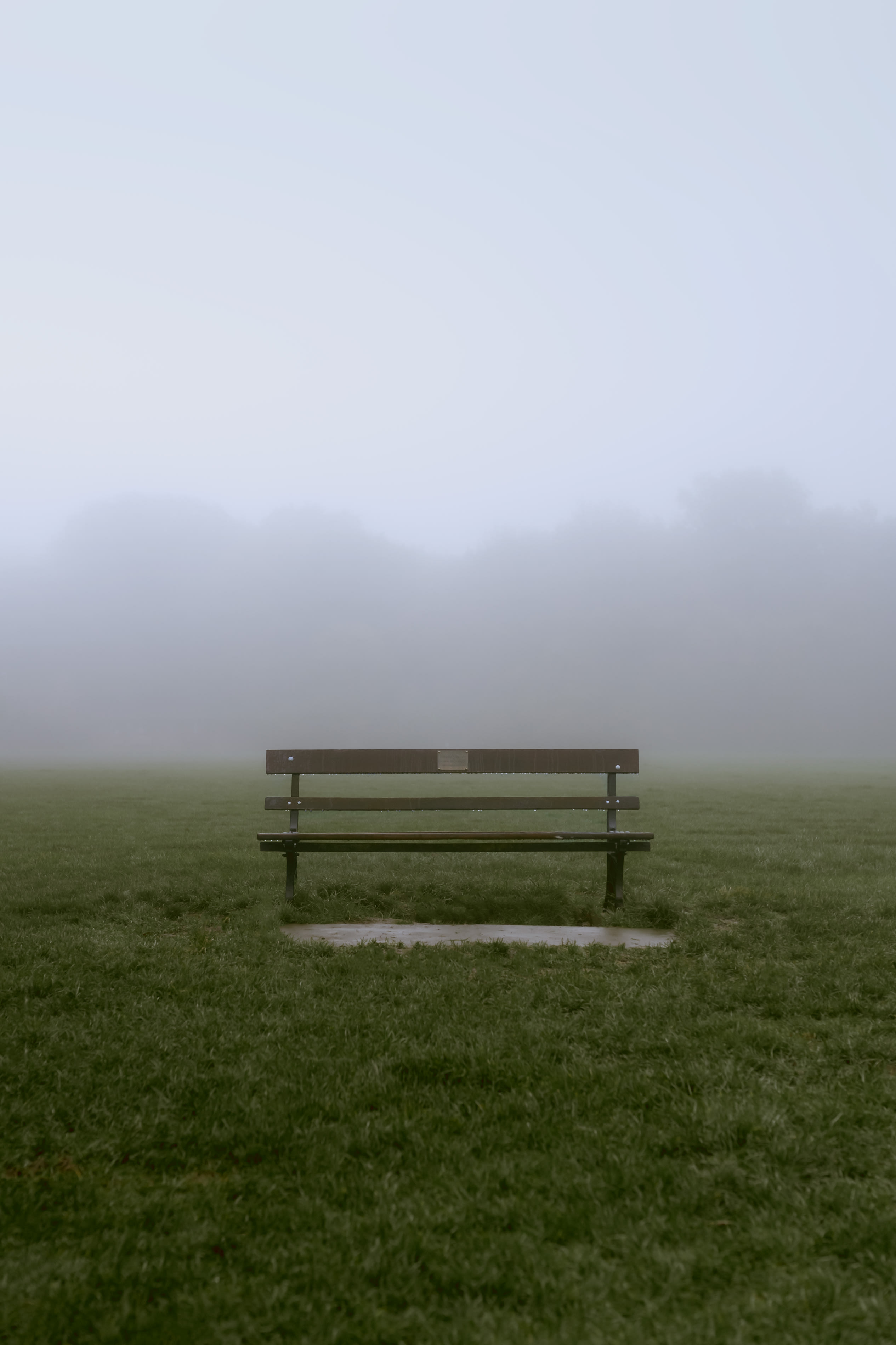 Empty bench in the park with a foggy background