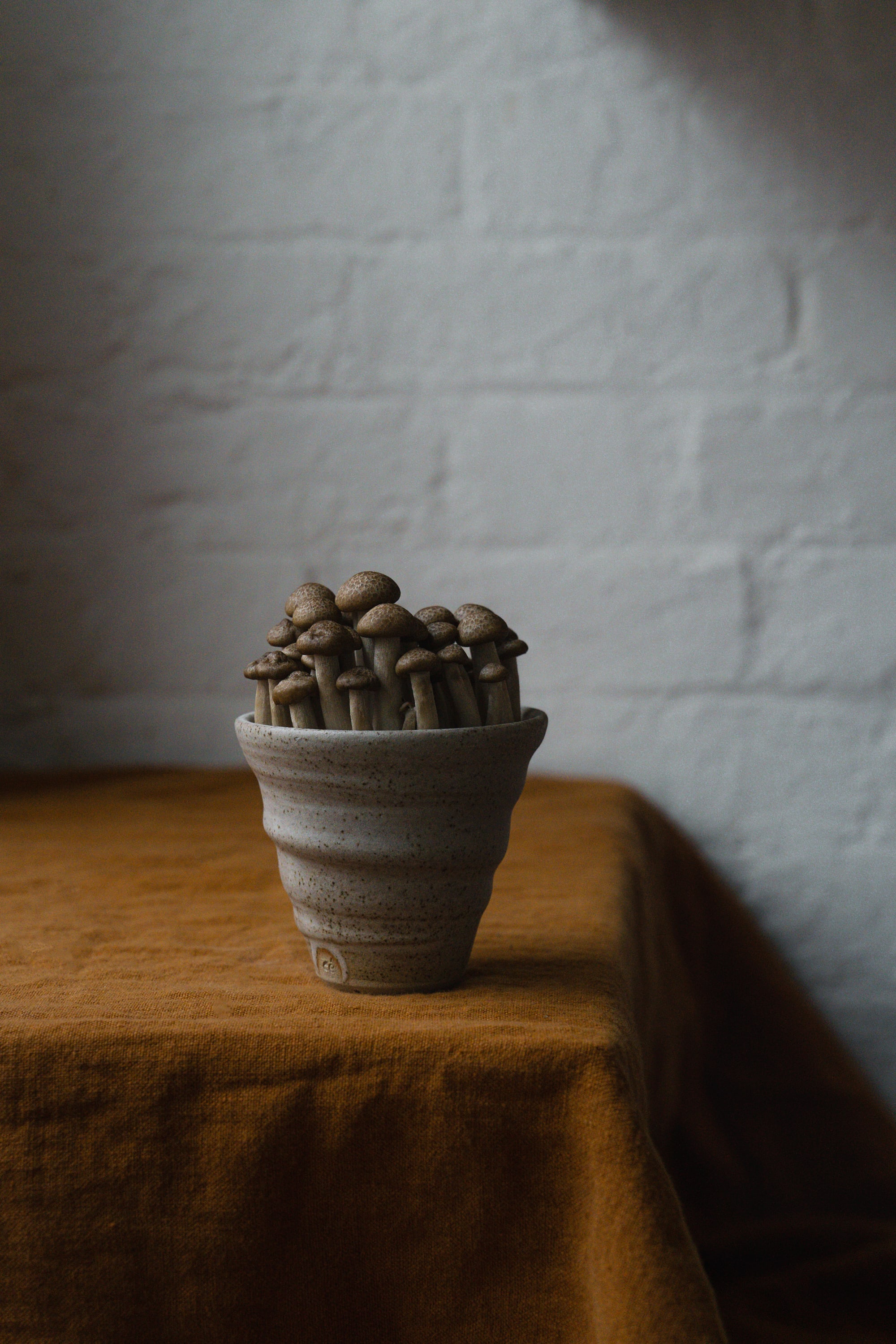Mushrooms in a beige ceramic coffee cup