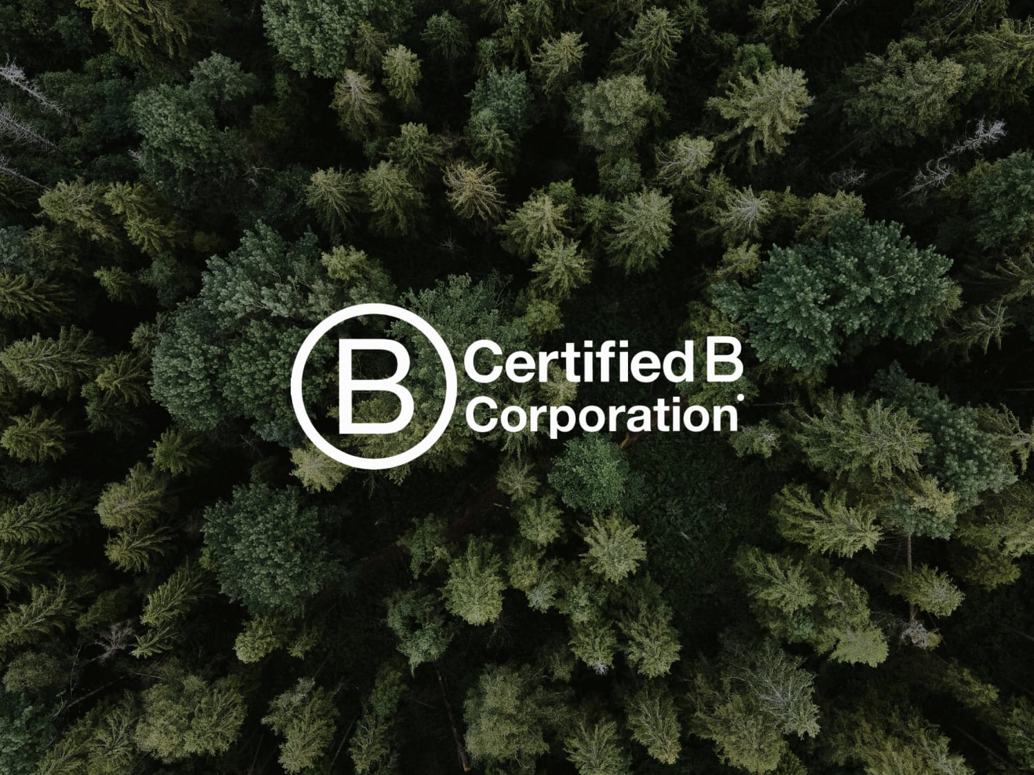 Enhancing Your B Corps Impact: The Benefits of Employee Ownership Trusts (EOTs)