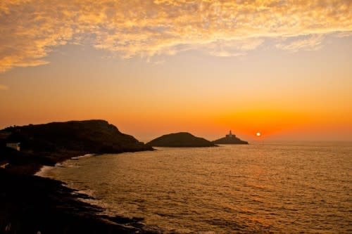 Looking for top-notch printing services?