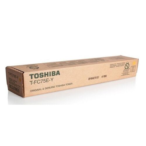 T-FC75E-Y