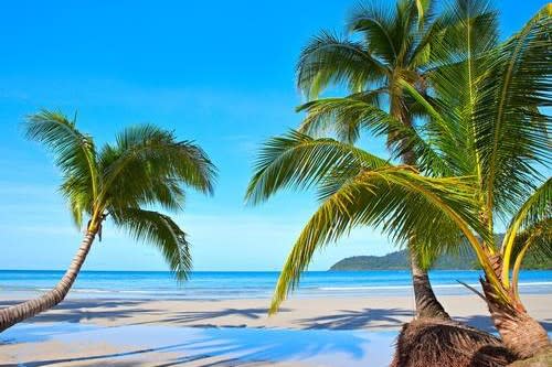 Elevate Your Brand with Canprint: Your Go-To Printing Solution in the UK