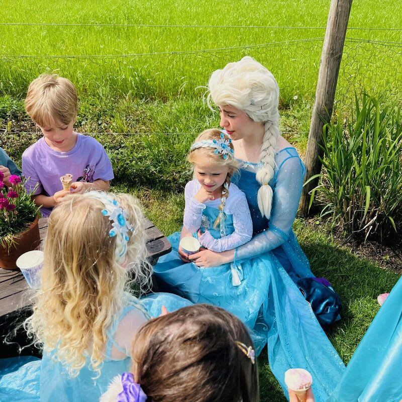 Frozen Princess Party