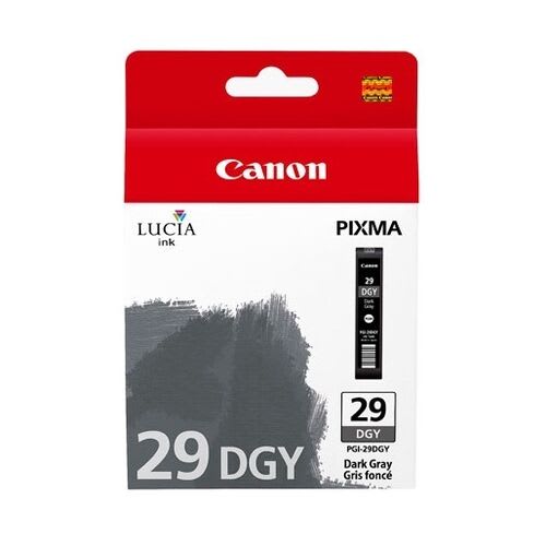 4870B001AA (PGI-29DGY) (29)