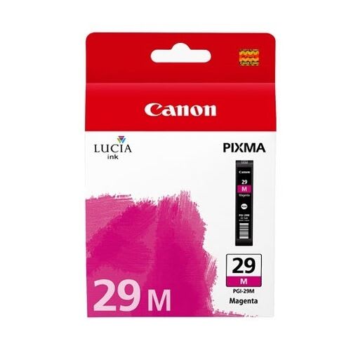 4874B001AA (PGI-29M) (29)