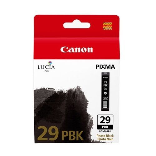 4869B001AA (PGI-29PBK) (29)