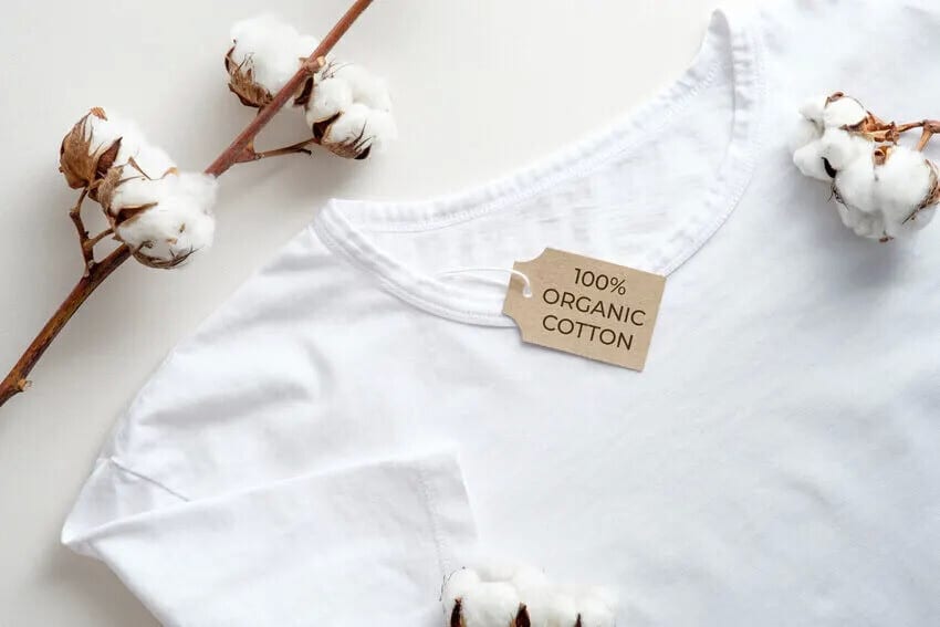 Blue Bear Prints | Sustainable Custom Clothing &amp; Eco Printing UK
