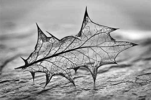 Make your walls come alive with your own artwork.