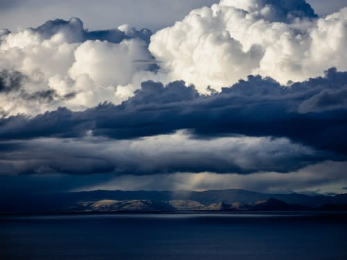 Coping with a 'Black Swan Moment'