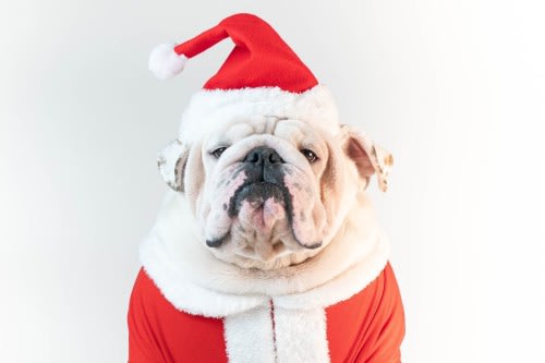  Christmas Gifts that are personalised, meaningful and will last a lifetime.