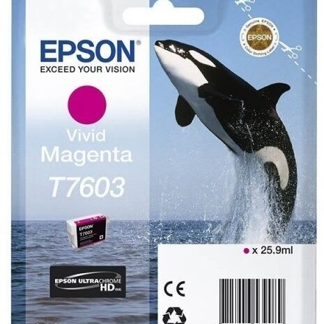 C13T76034010 (T7603)