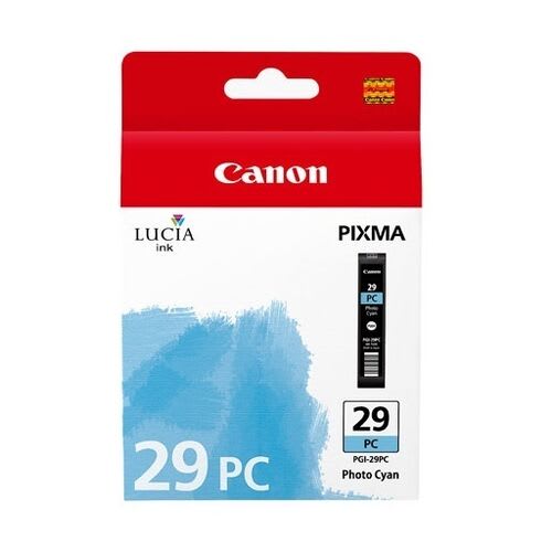 4876B001AA (PGI-29PC) (29)